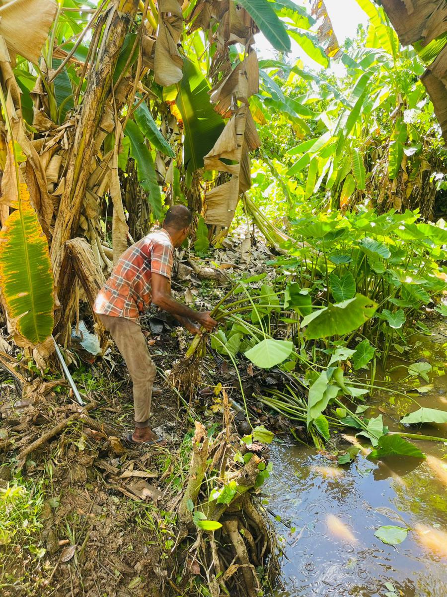 බංගලාවත්ත ක්‍රවුන් ඇළ මාර්ගය පවිත්‍ර කිරීම - 2024.04.04