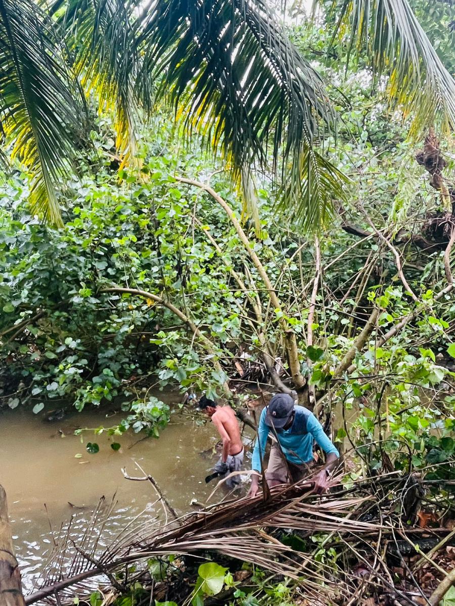 රේල්පාර අසළ ඇළ මාර්ගය පවිත්‍ර කිරීම